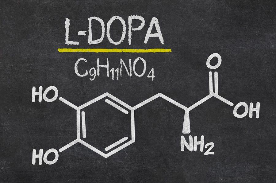 Nootropics L-Dopa
