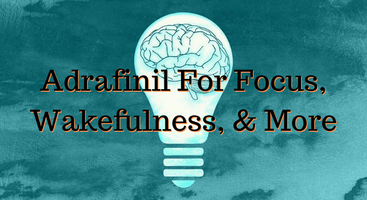 Adrafinil For Focus Wakefulness More