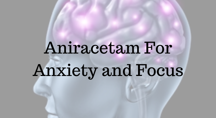 The Top 5 Nootropic Herbs