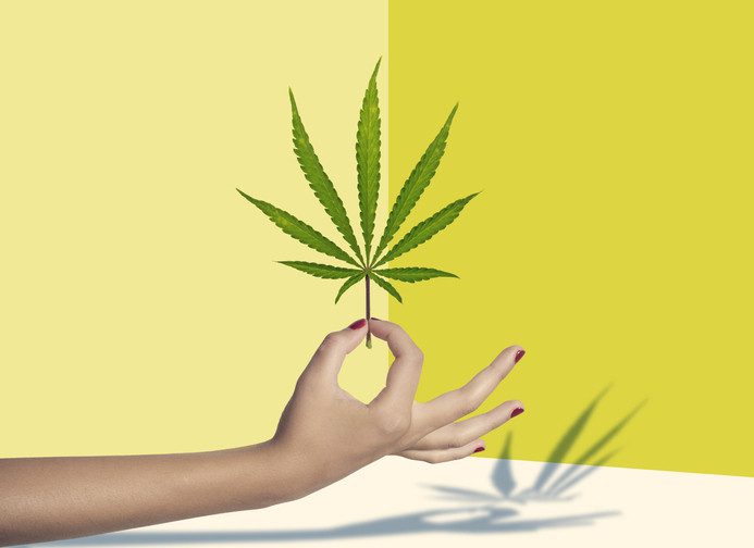 cannabis for menopause symptom relief