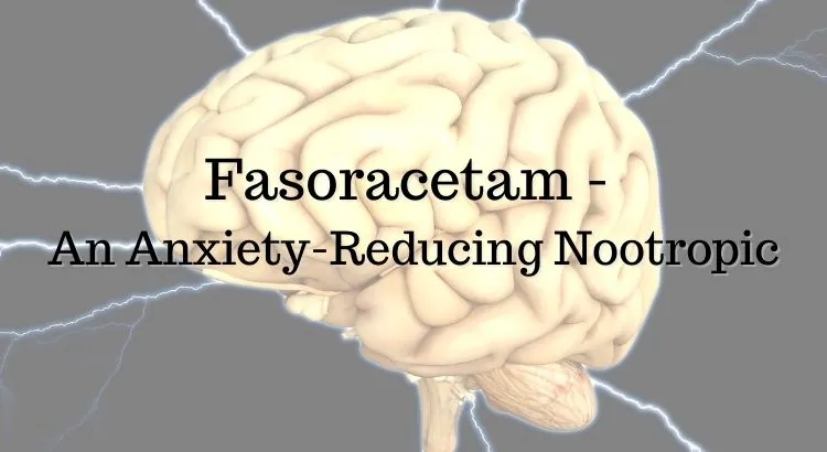 Fasoracetam – An Anxiety-Reducing Nootropic