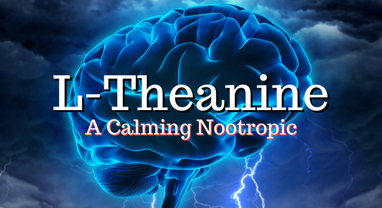 L-Theanine – A Calming Nootropic