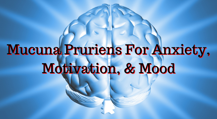 Mucuna Pruriens for Anxiety Motivation and Mood