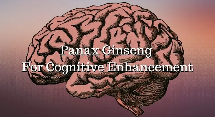 Panax Ginseng For Cognitive Enhancement