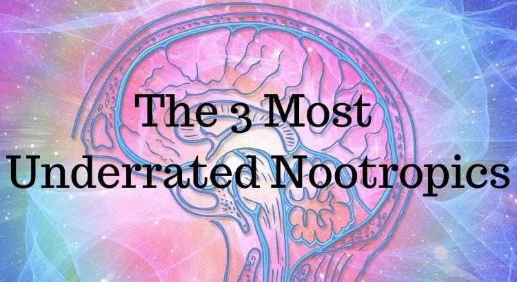 The 3 Most Underrated Nootropics