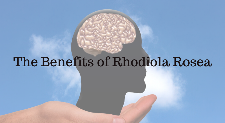 The Benefits Of Rhodiola Rosea