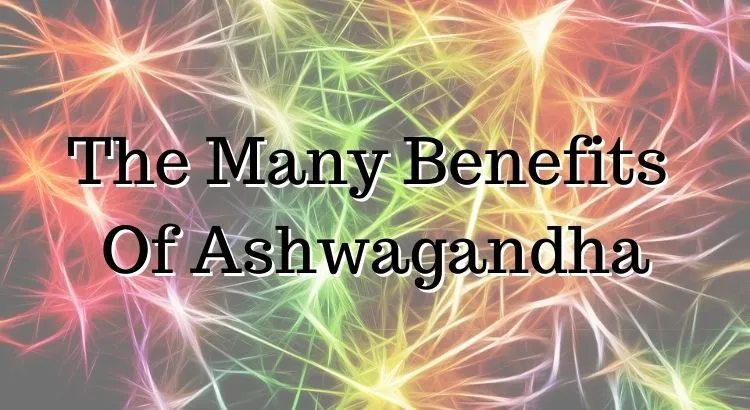 The Many Benefits Of Ashwagandha