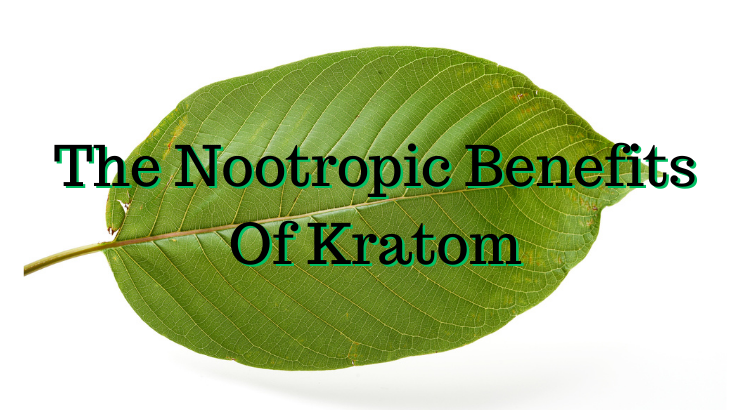 The Nootropic Benefits Of Kratom