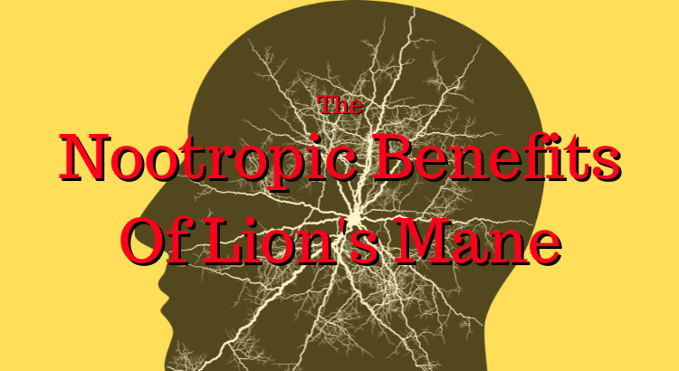 The Nootropic Benefits Of Lion’s Mane