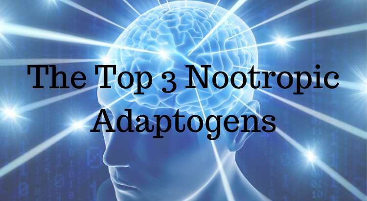 The Top 3 Nootropic Adaptogens