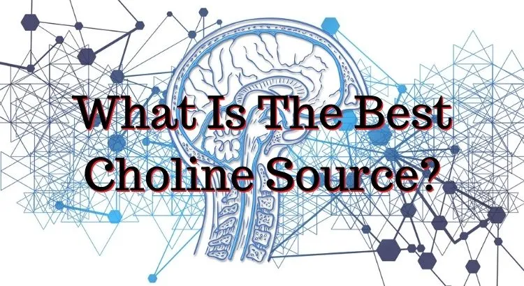 What Is The Best Choline Source?
