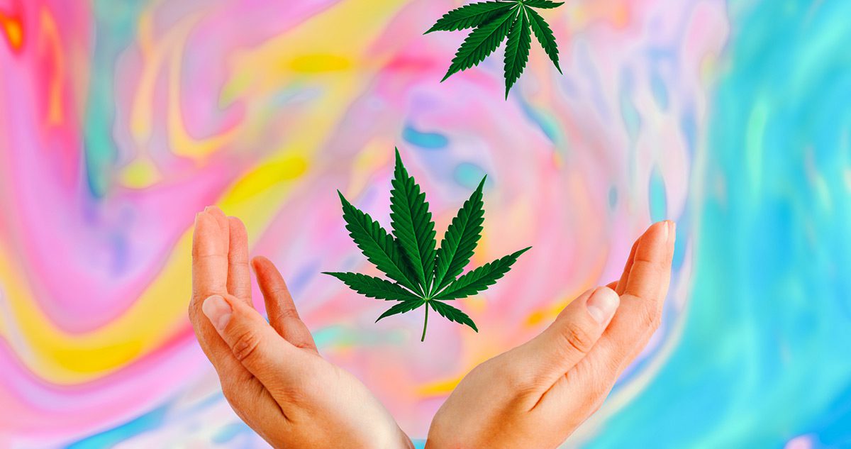 What is the Entourage Effect & What Does it Have to Do with CBD