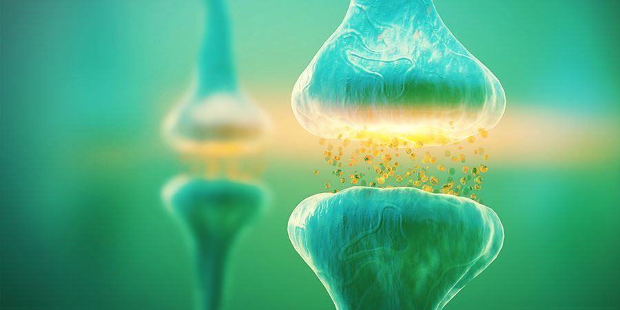 Anandamide - The Creativity Secret Weapon