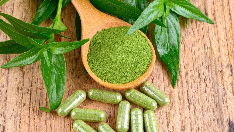 Andrographis paniculata | How The "King of Bitters" Supports Immune Health And Pain Management