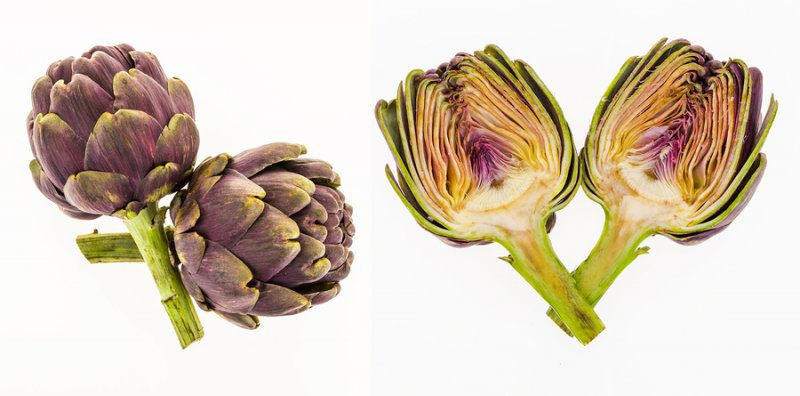 Artichoke Extract (Luteolin)