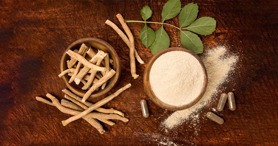 Ashwagandha Benefits | An Ayurvedic Herb for Stress Support, Immune Health, and Restful Sleep