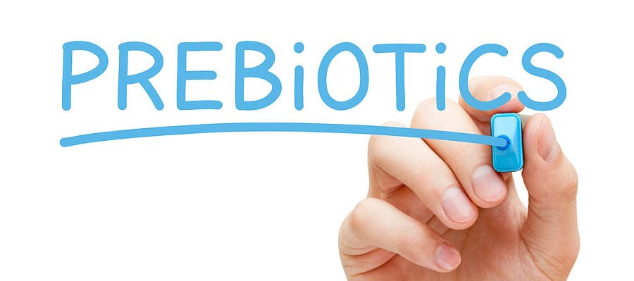 Best Prebiotics