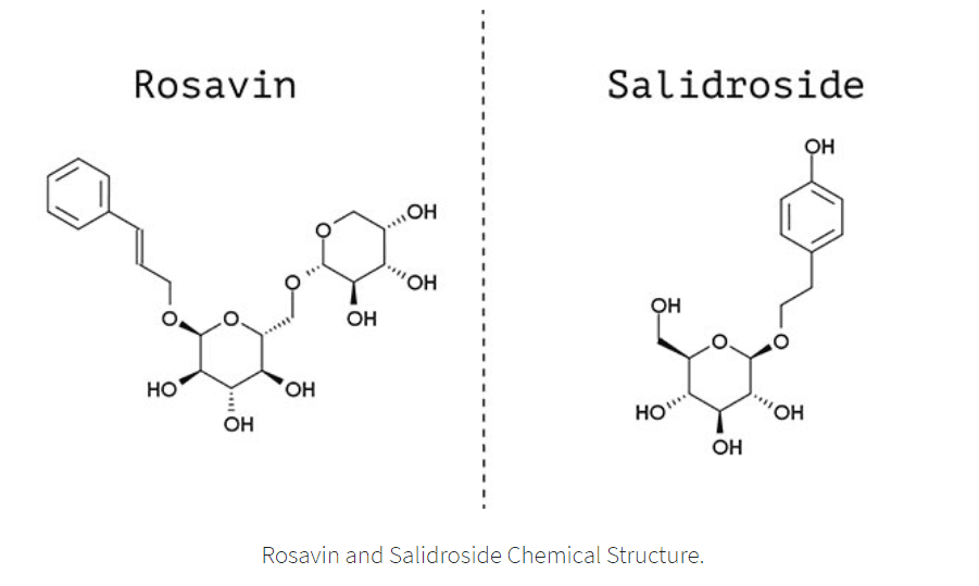 Comparing Rhodiola Rosea Extracts: Rosavins vs. Salidroside