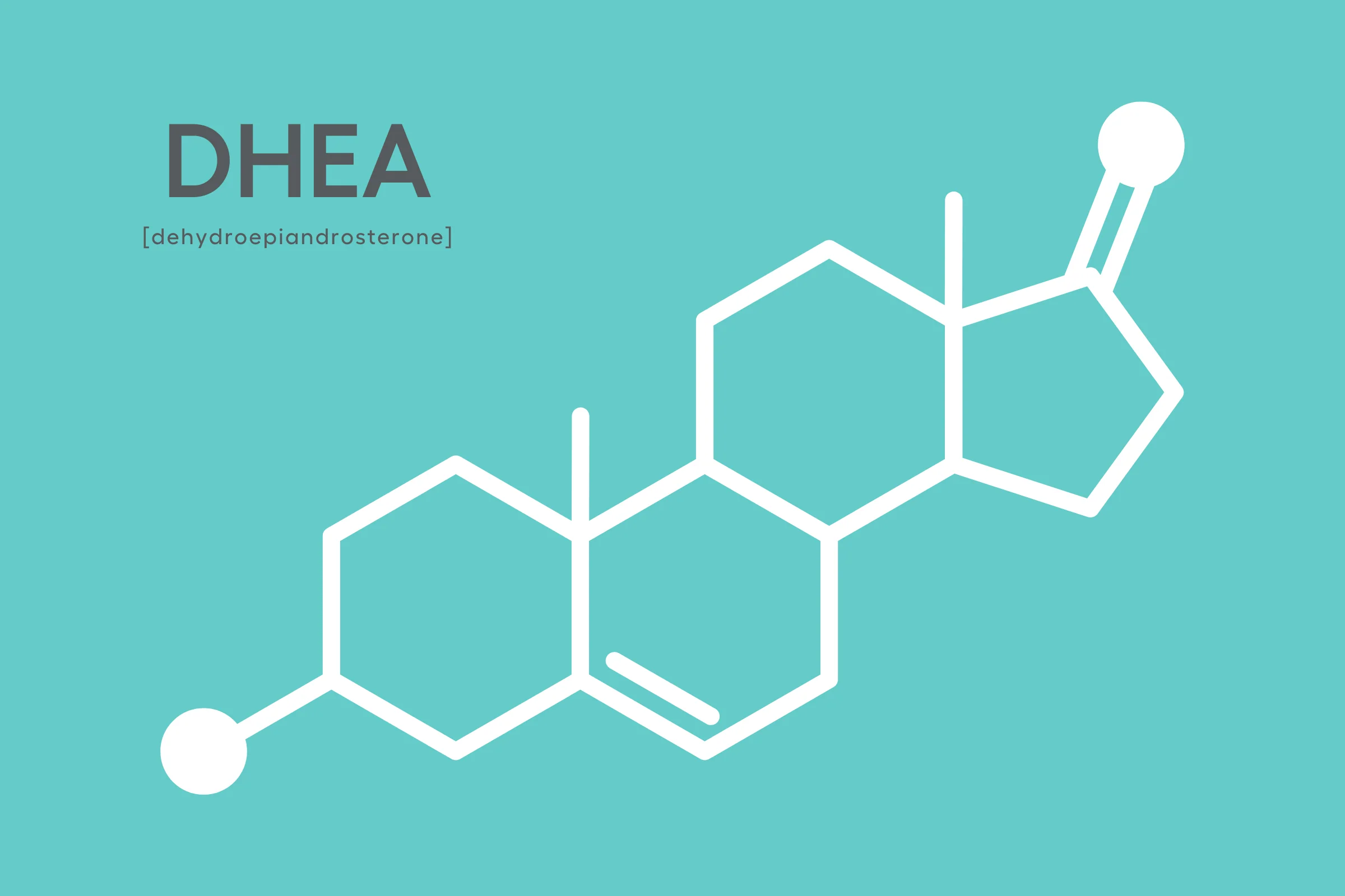 DHEA (dehydroepiandrosterone)