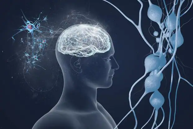 Do Brain Cells Regenerate? Yes, and You Can Help