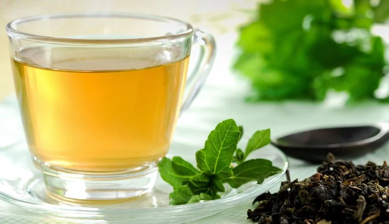 Green Tea Extract + L-Theanine for Cognitive Boost