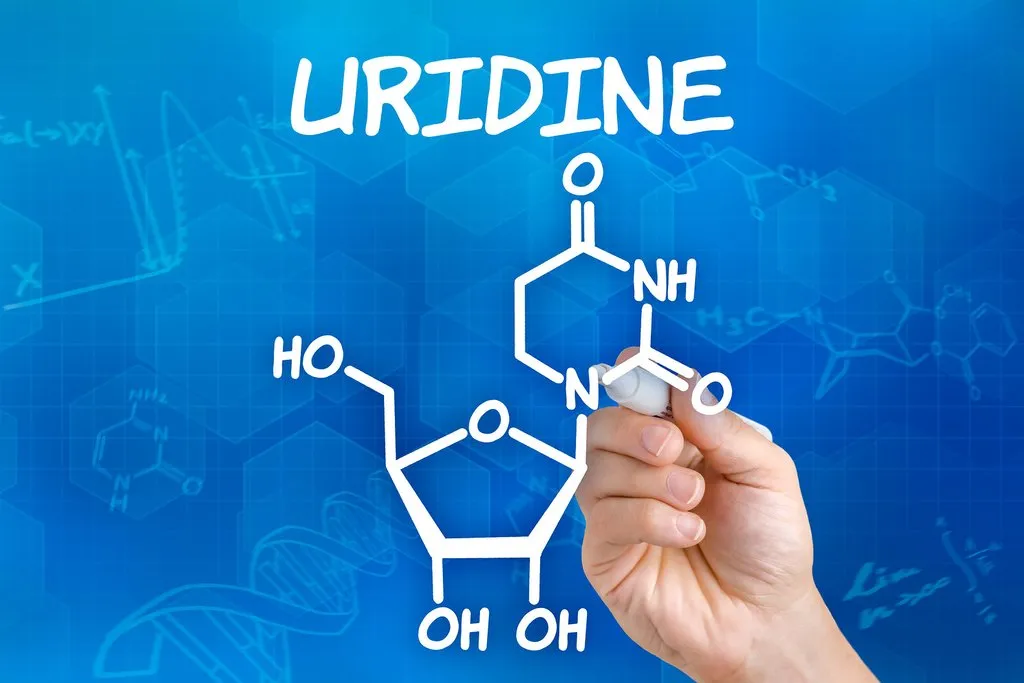 How Uridine Benefits Cognition, Sleep, Pain Management, and More