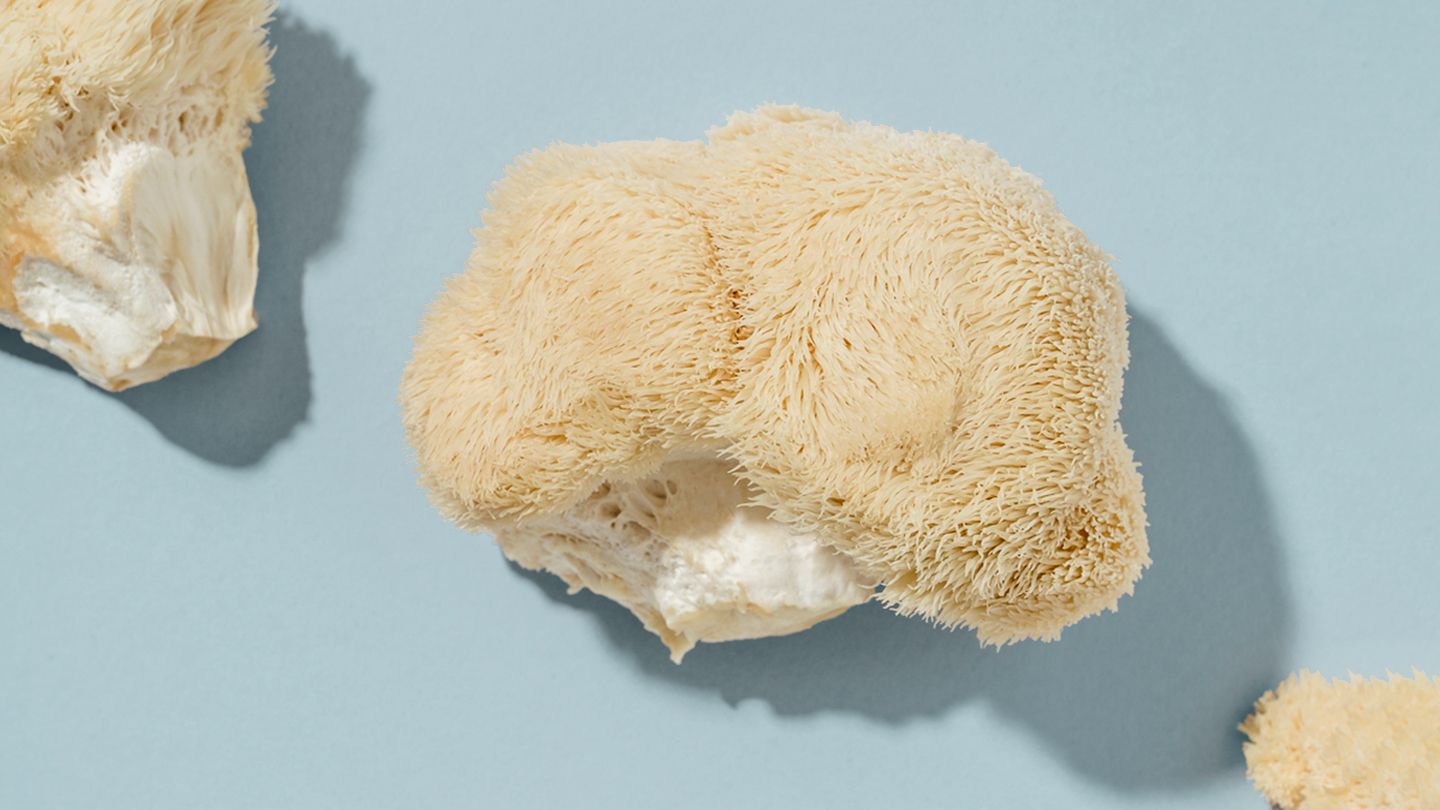 Lion’s Mane