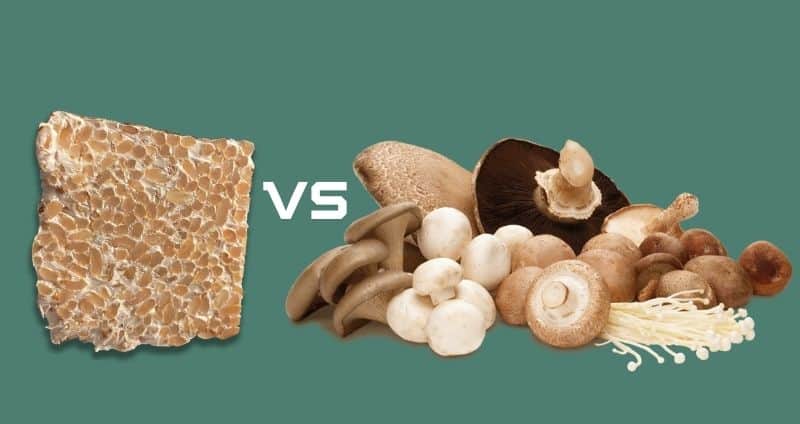 Mushroom Extracts: Whole Fruiting Bodies vs. Mycelium on Grain