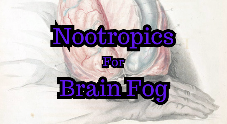 Nootropics For Brain Fog