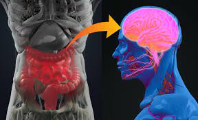 Psychobiotics: Use the Gut-Brain Connection for Mental Health