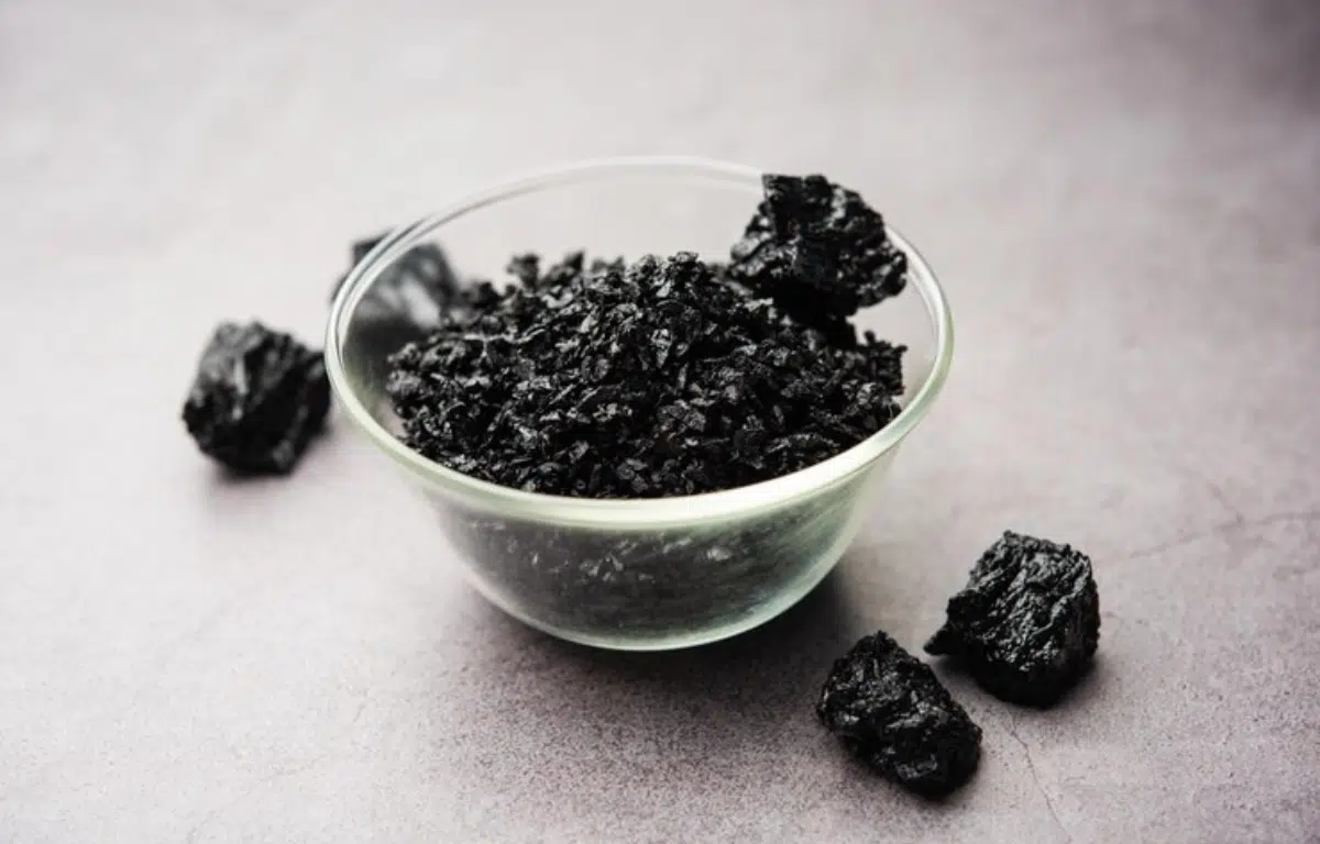Shilajit: A Look At This Amazing Ayurvedic Supplement