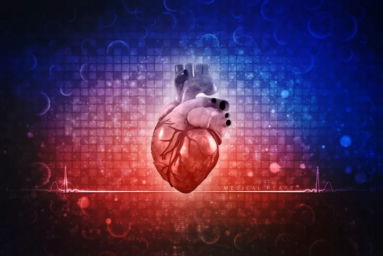 Start with Your Heart for Better Cognition