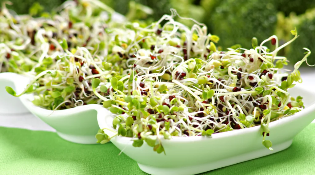 Sulforaphane — Why Your Mom Was Right When She Said “Eat Your Broccoli, It’s Good For You.”