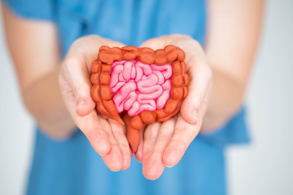 The Importance of Gut Health