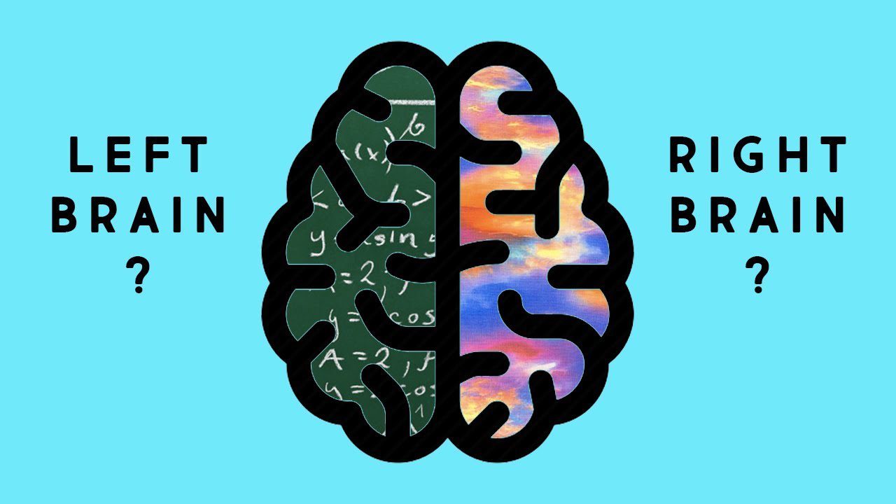 The Left-Brain, Right-Brain Myth