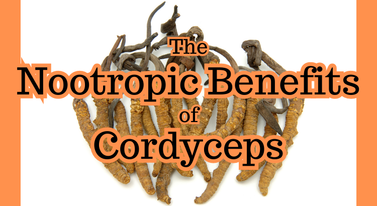 The Nootropic Benefits of Cordyceps