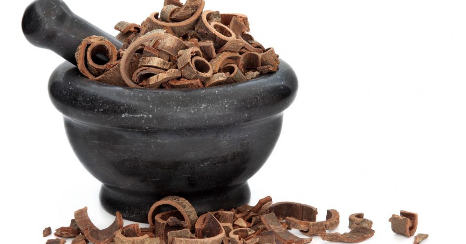 The Top Magnolia Bark Extract Benefits, Uses, And More