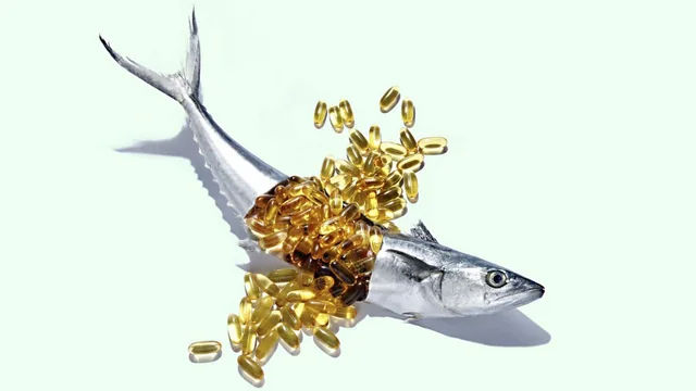 Ultimate Guide to Nootropics | Part 5 | Fish Oil