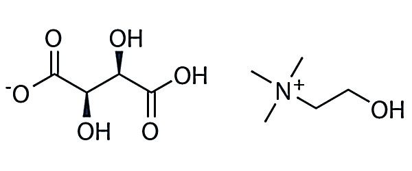 Ultimate Guide to Nootropics | Part 6 | Choline Supplements