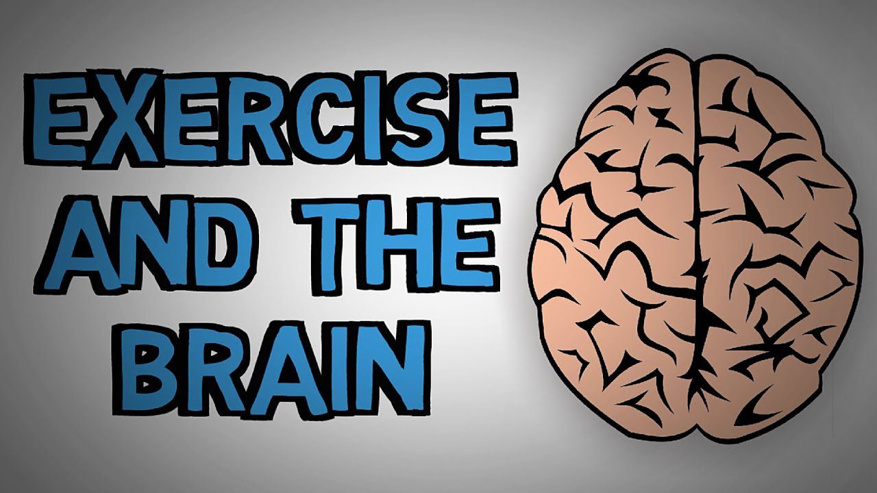 What Exercise Really Does For Our Brain
