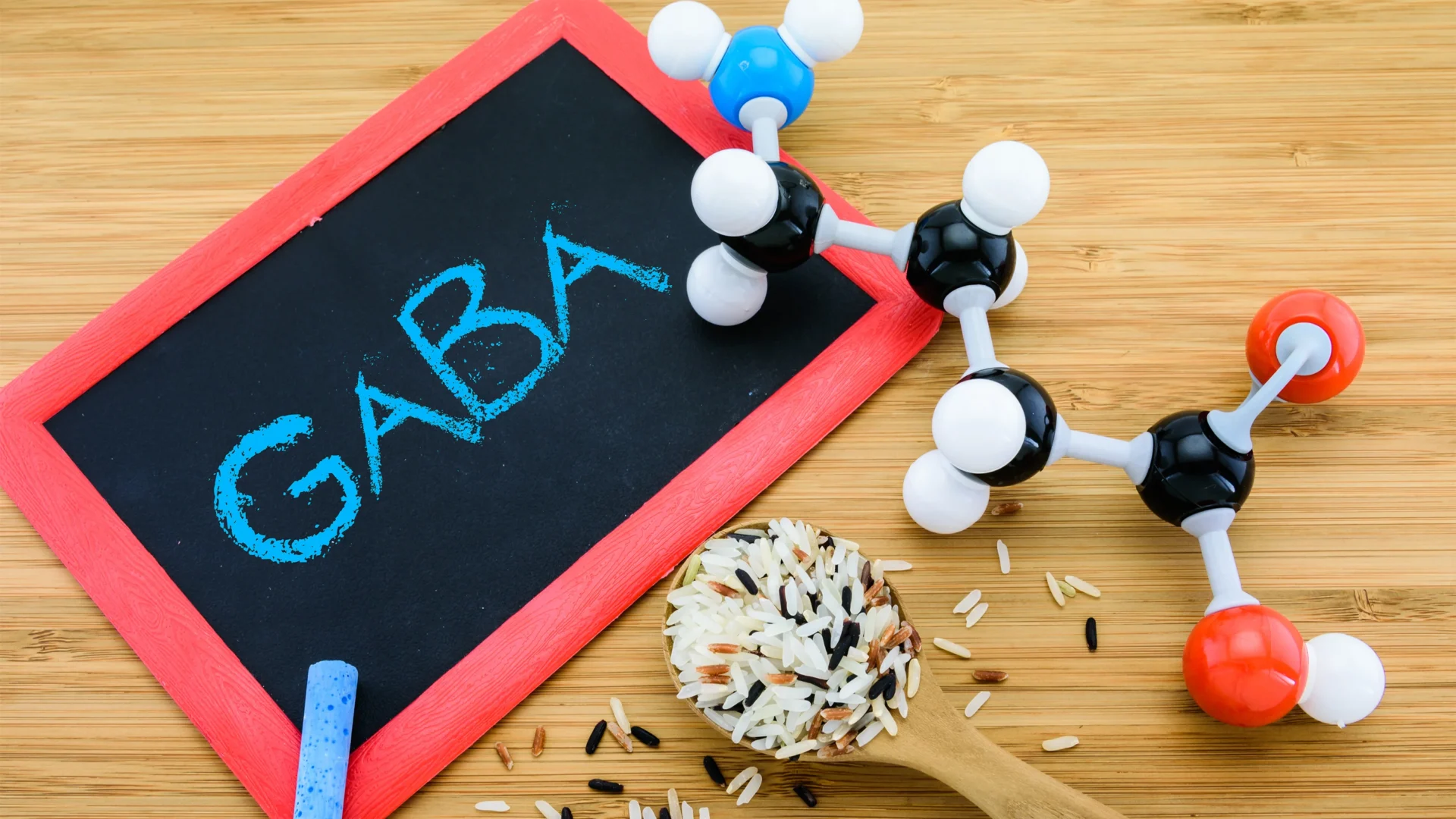 What is GABA?