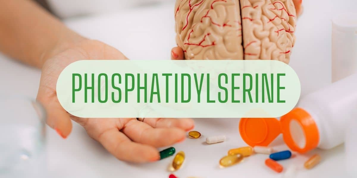 What is Phosphatidylserine?