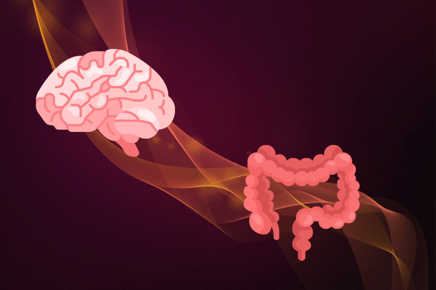 Why What You Eat Affects How You Feel: the Brain-Gut Connection