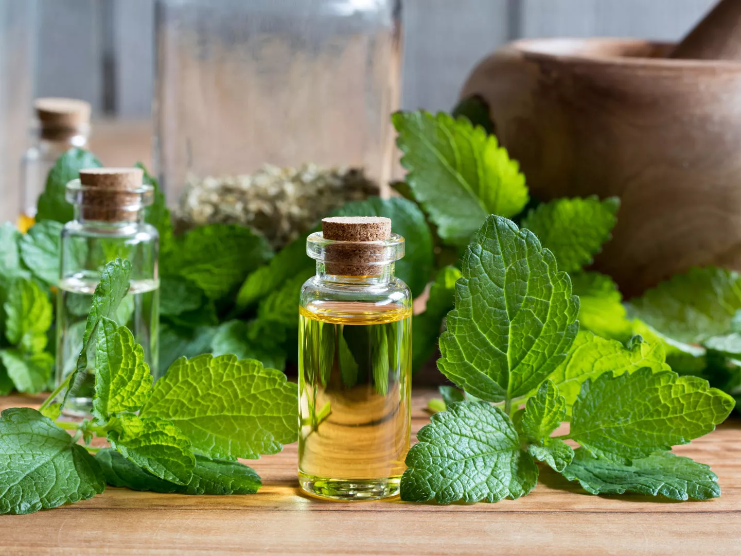 Why does Lemon Balm Work Well with Valerian?